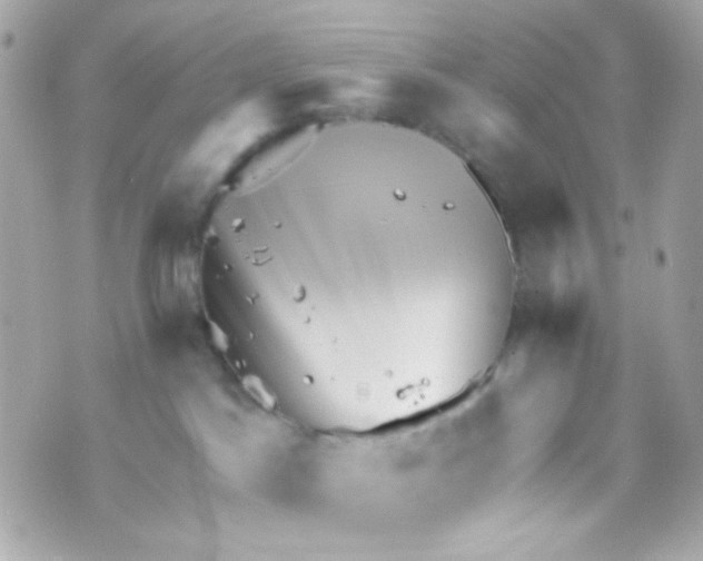 X0000069830045200606161951