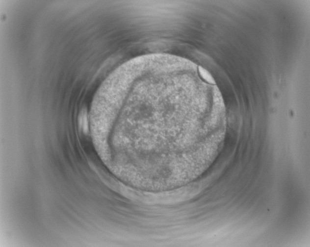 X0000069830046200606161951