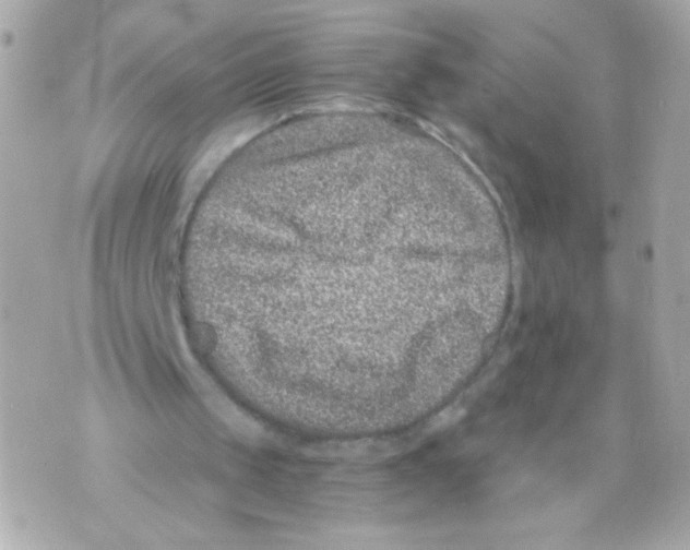 X0000069830049200606161950