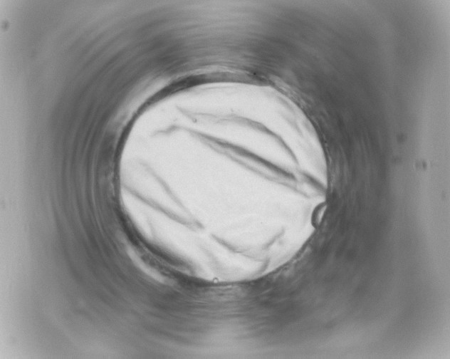 X0000069830050200606161950