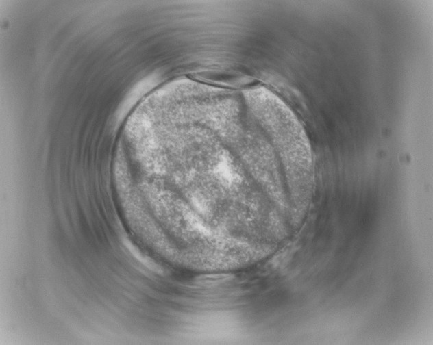 X0000069830051200606161950