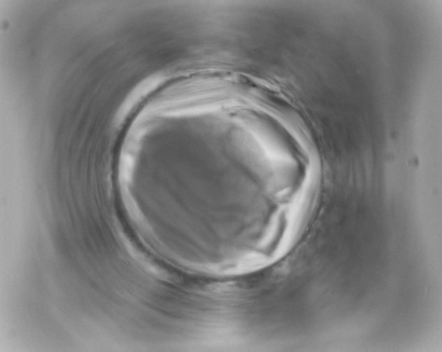 X0000069830054200606161950