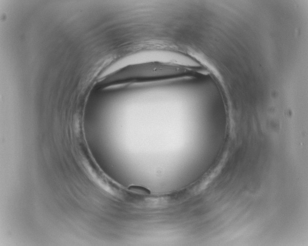 X0000069830057200606161950