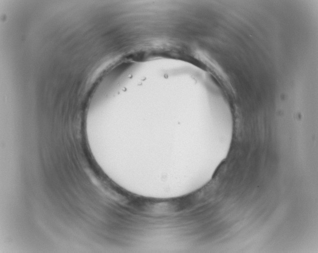 X0000069830058200606161950