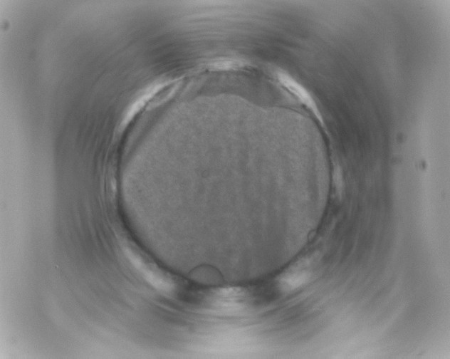 X0000069830059200606161950