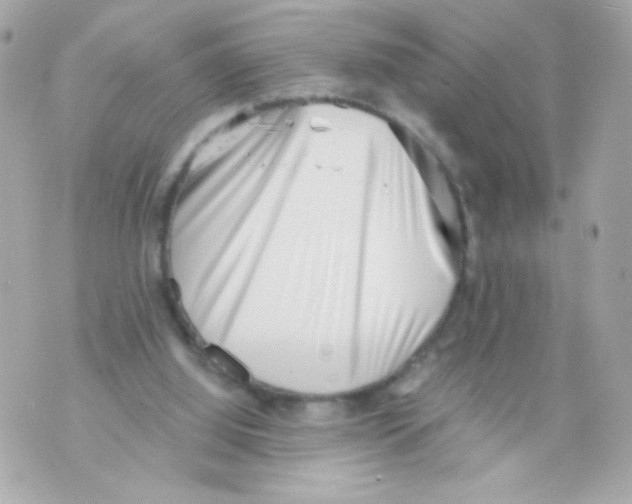 X0000069830060200606161951