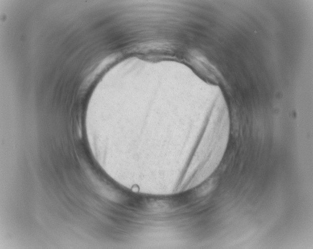 X0000069830062200606161951