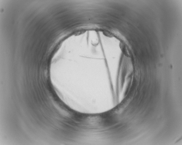 X0000069830063200606161951