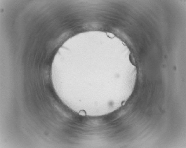 X0000069830065200606161951