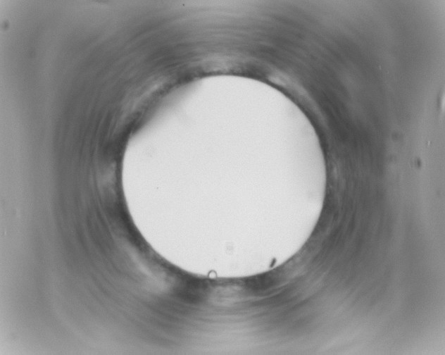 X0000069830066200606161951