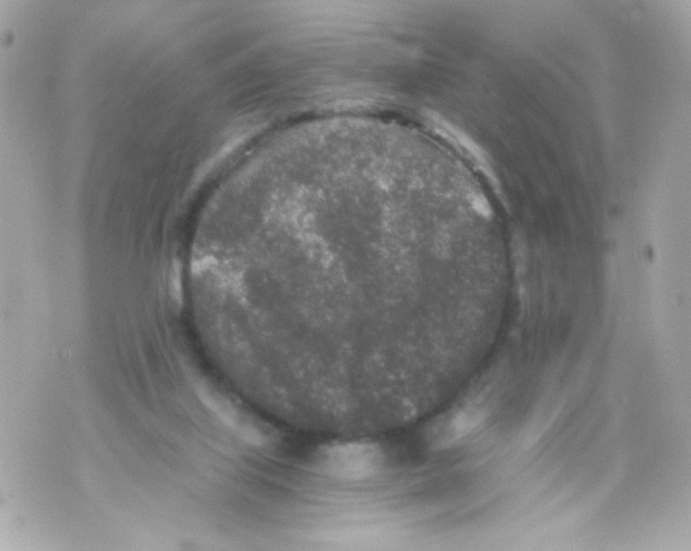 X0000069830067200606161951