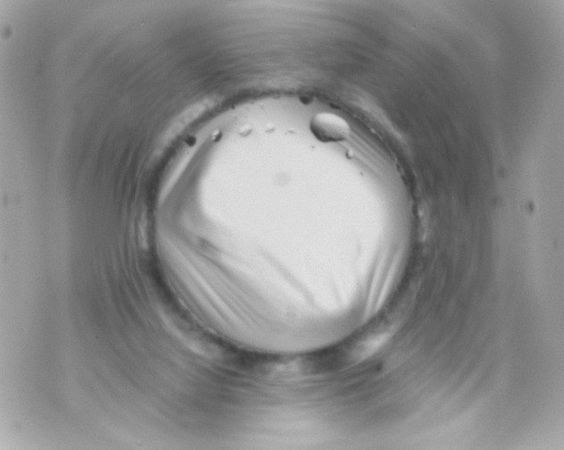 X0000069830068200606161951