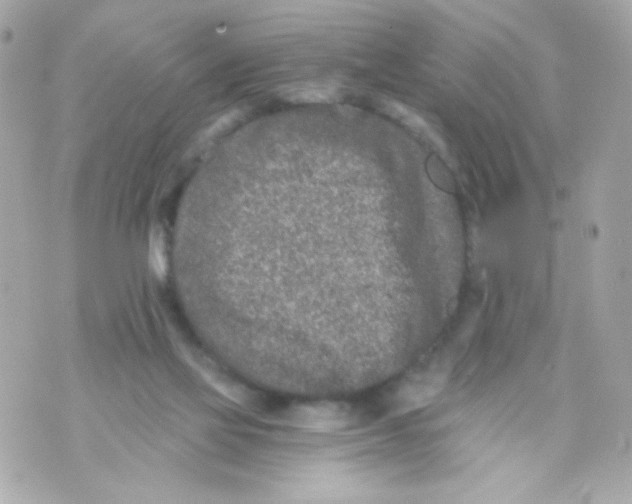 X0000069830069200606161951