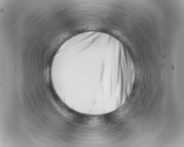 X0000069830070200606161951