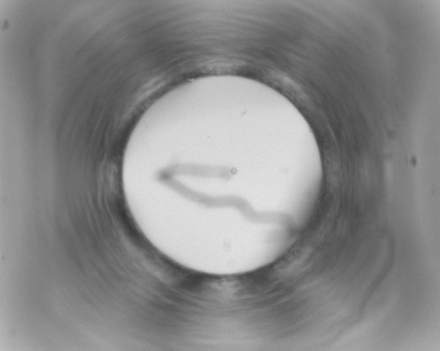 X0000069830071200606161951