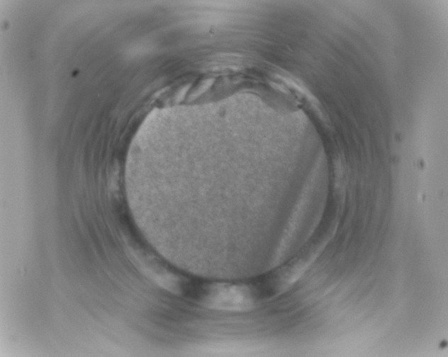 X0000069830073200606161951