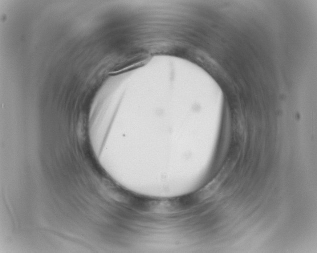 X0000069830074200606161951