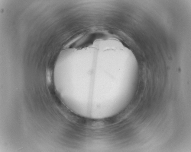 X0000069830075200606161951