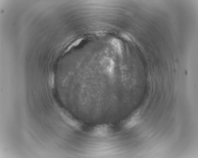 X0000069830076200606161951