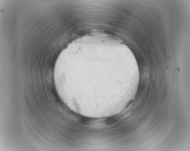 X0000069830078200606161951