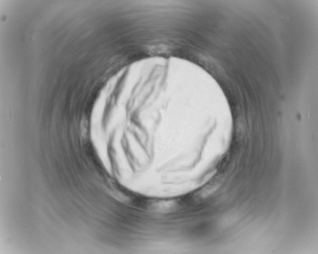 X0000069830081200606161951