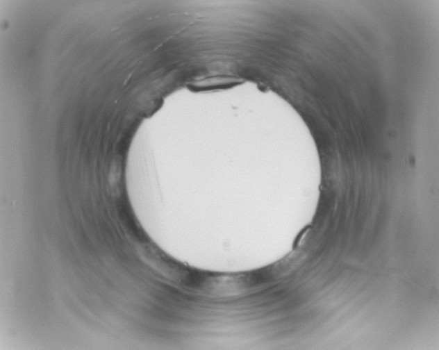 X0000069830082200606161951