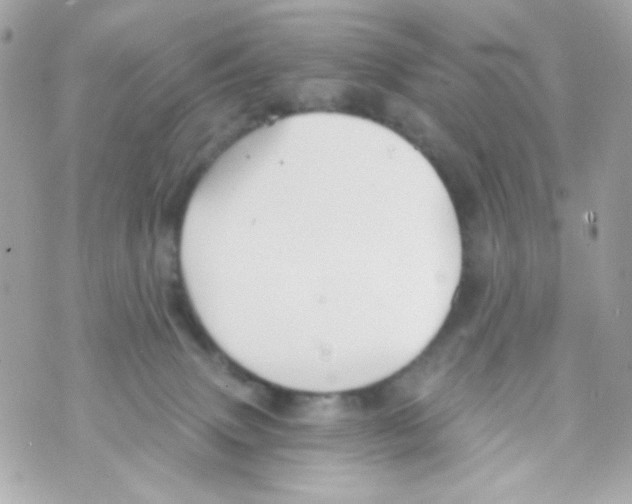 X0000069830083200606161951