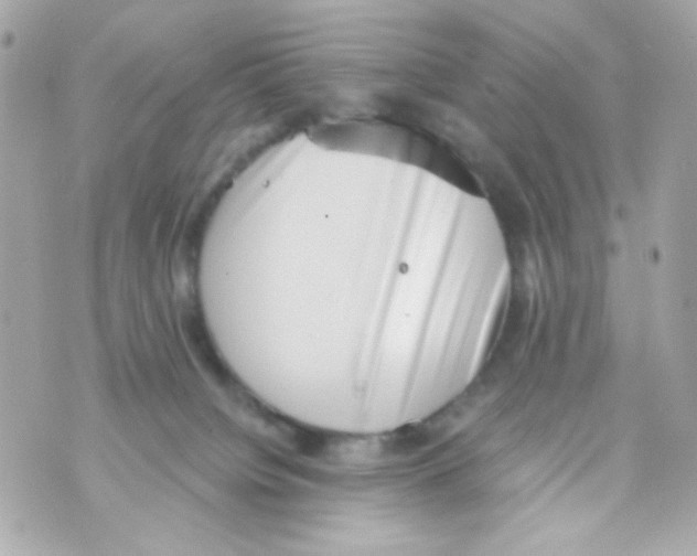 X0000069830084200606161951