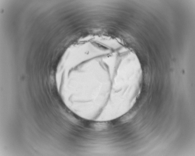 X0000069830085200606161951