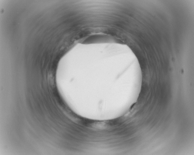 X0000069830086200606161951