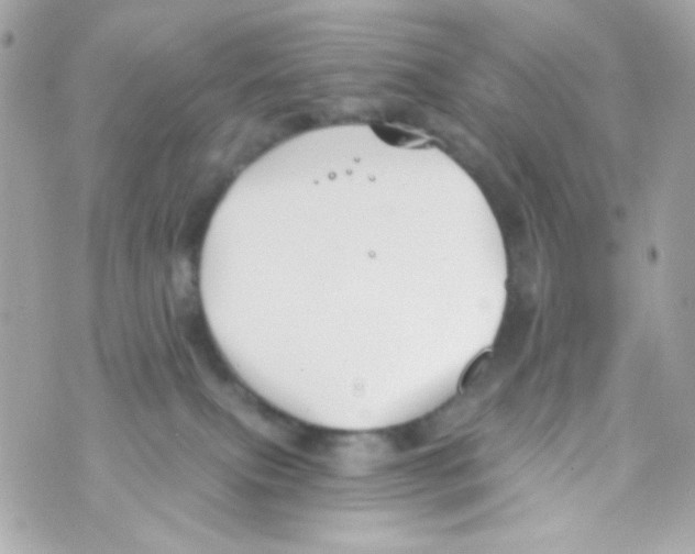 X0000069830087200606161951