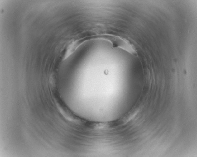 X0000069830088200606161951