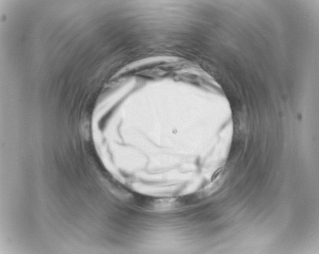 X0000069830090200606161951