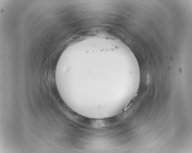 X0000069830091200606161951