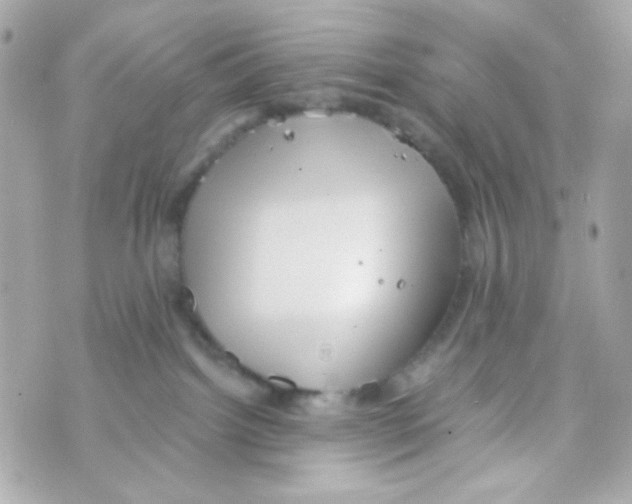 X0000069830092200606161951