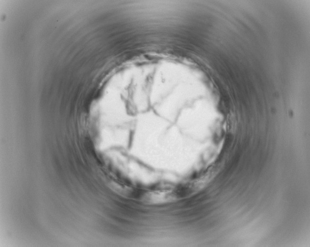 X0000069830093200606161951