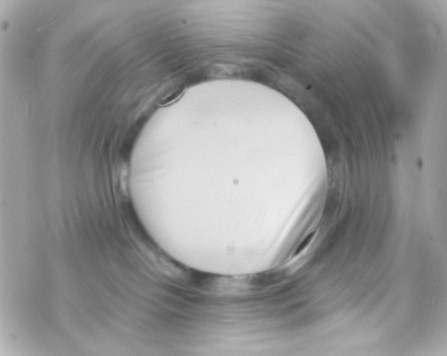 X0000069830094200606161951