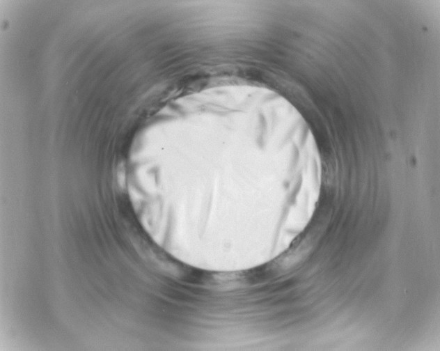 X0000069830095200606161951