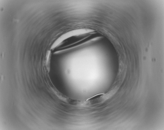 X0000069830096200606161951