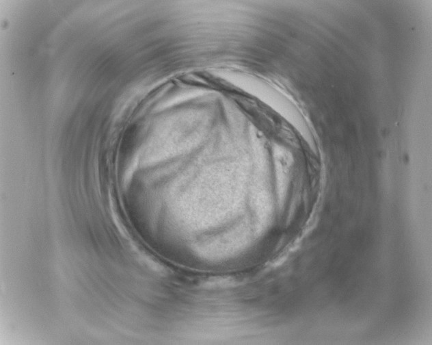 X0000069830097200606161950