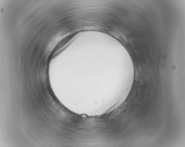 X0000069830098200606161950