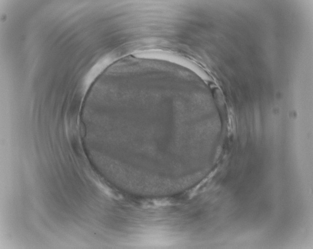 X0000069830099200606161950