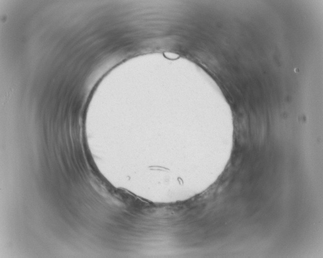 X0000069830100200606161950