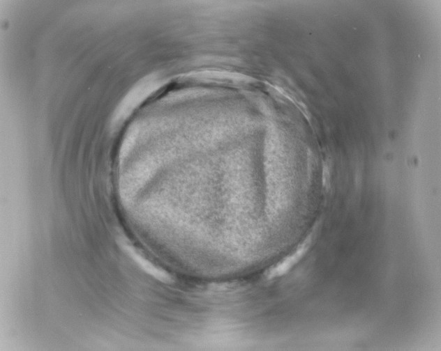 X0000069830101200606161950