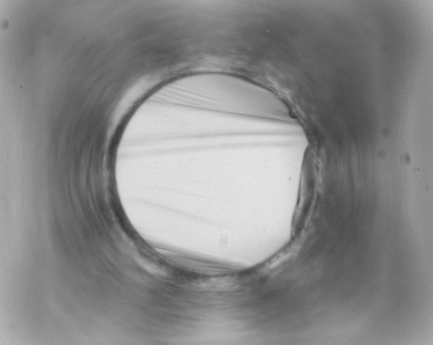 X0000069830102200606161950