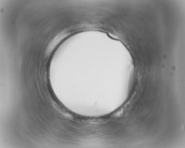 X0000069830103200606161950