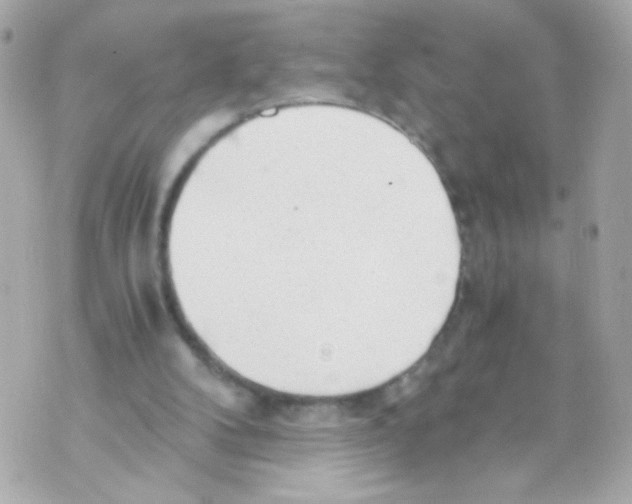 X0000069830104200606161950