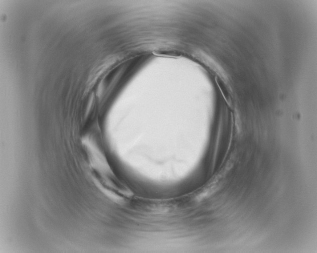 X0000069830105200606161950