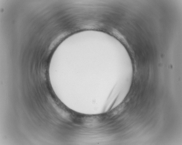 X0000069830106200606161950