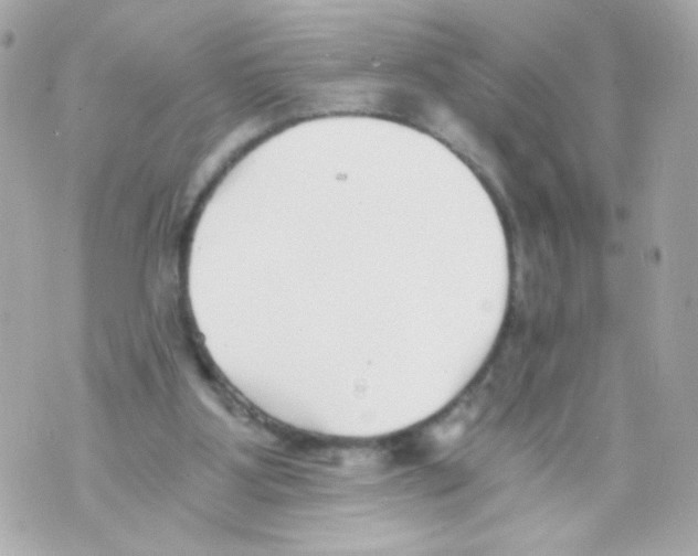 X0000069830107200606161950